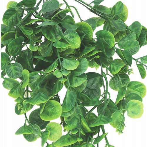 EUKALIPTUS ZWISAJĄCE GĘSTE PNĄCZE GAŁĄZKI KASKADA GIRLANDA BLUSZCZ 5gał na Arena.pl