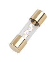 BEZ4002-60 Bezpieczniki samochodowe AGU 60A 10x38