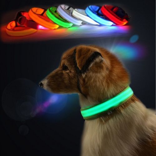 Obroża Opaska LED dla Kota Świecąca Micro USB r. M na Arena.pl