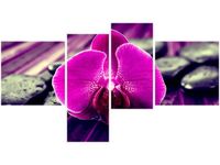 100 55CM OBRAZ 4 ELEM FIOLETOWE SPOJRZENIE PŁÓTNO DRUK