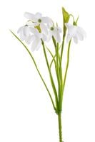 kwiat sztuczny przebiśnieg 30cm 256can2672_03