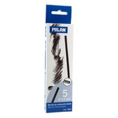 WĘGIEL NATURALNY 3-5MM PUD. 5 SZT MILAN