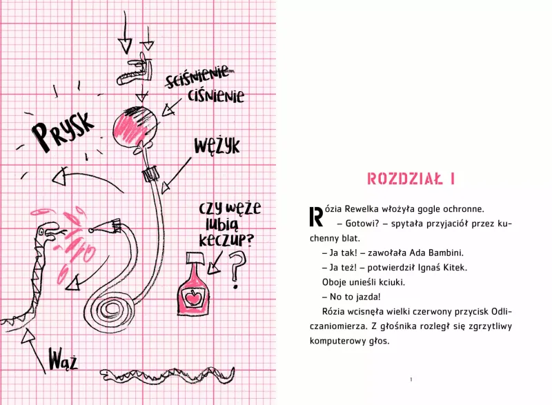 Rózia Rewelka i Szalone Nitowaczki zdjęcie 2