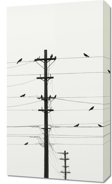 Obraz 40x70cm Symfonia na Drutach zdjęcie 1