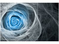 OBRAZ BLUE ROSE