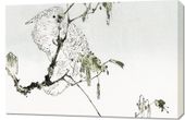 Obraz 90x60cm White Cockatoo, Seitei Japoński Vintage