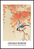 Plakat 70x100cm Design Great Tit, Koson Vintage do Salonu