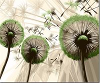 60CM 50CM OBRAZ ŚCIENNY DMUCHAWCE ZIELENI DRUK PŁÓTNO