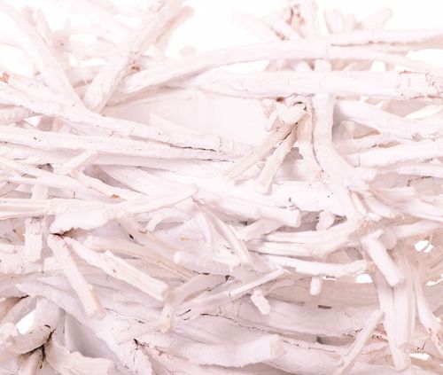 Doniczka patyki ww na Arena.pl