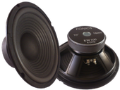 Głośnik Fonics 10 Cali  EW 100 8 ohm