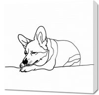 Obraz 60x60cm Śpiący Corgacz