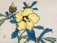 Plakat 80x60cm Hibiscus, Kōno Bairei Japoński Vintage do Salonu