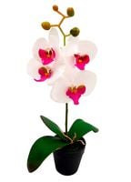 STORCZYK SZTUCZNY storczyki kwiat ORCHIDEA 38cm 4