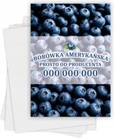 Ulotki A6 reklamowe firmowe 100szt wiele różnych wzorów sprzedaż borówek