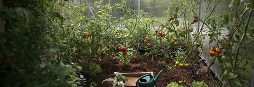 BECZKA PLASTIKOWA na wodę DO KISZENIA KAPUSTY OGÓRKÓW 50L KWADRATOWA atest na Arena.pl