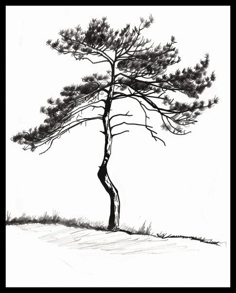 Plakat 40x50cm Samotna Sosna zdjęcie 2