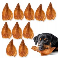 HOCKY Przekąska Przysmak Suszony Gryzak dla Psa Ucho Wieprzowe 10 szt.