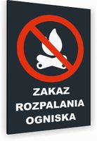 Tabliczka znak informacyjny 20x15 Antracyt ZAKAZ ROZPALANIA OGNISKA Dibond