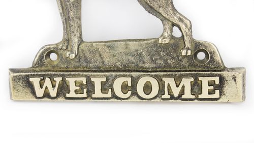 testowy pies na Arena.pl