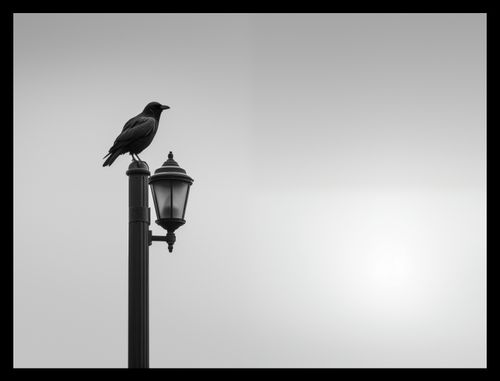 Plakat 40x30cm Samotny Postój Kruka na Arena.pl