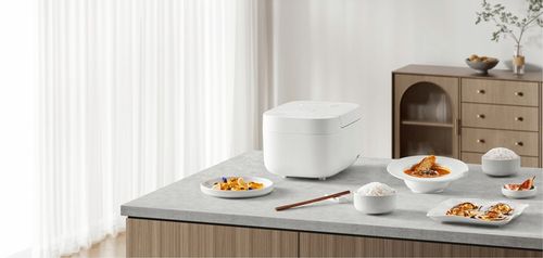 Xiaomi Smart Multifunctional Rice Cooker urządzenie do gotowania ryżu EU na Arena.pl