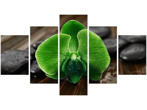 75CM 120 OBRAZ 5 ELEM LIMONKOWY STORCZYK ŚCIENNY DRUK na Arena.pl