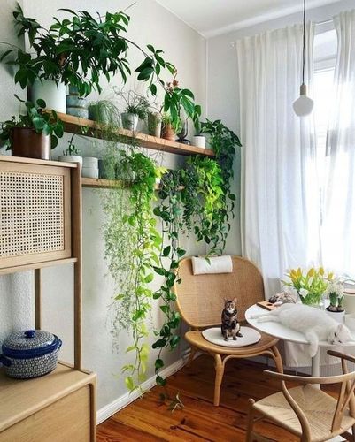 PODŁOŻE Uniwersalne z Nawozem ZIEMIA do Kwiatów 5L na Arena.pl