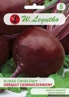 W.LEGUTKO NASIONA BURAK ĆWIKŁOWY ŚREDNIO WCZESNY OKRĄGŁY CIEMNOCZERWONY 20G
