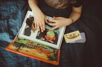 Układanka magnetyczna Magnetibook Dinozaury - zabawka edukacyjna, 3+, Janod