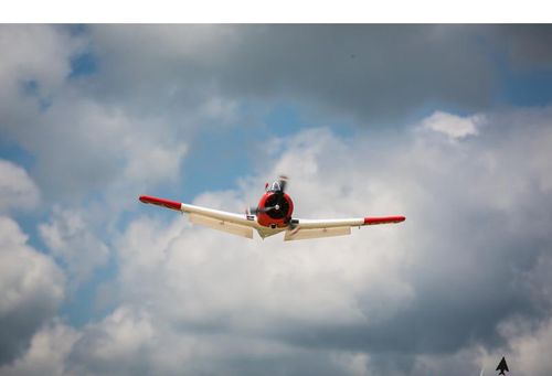 T-28 Trojan 1.2m BNF Basic na Arena.pl