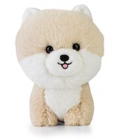 maskotka teddy pets pomeranian
