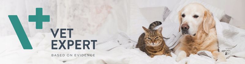 Vetexpert VetoSkin SMALL 60 kaps zdjęcie 6