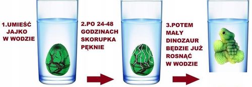 dinozaur w jajku 6cm 6019 a"12 na Arena.pl