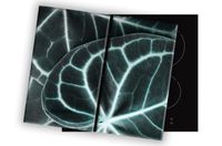 product-compare-60660725