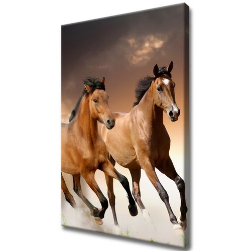 40X60 Obraz *** Na Płótnie *** na Arena.pl