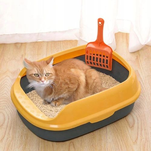 ŻWIREK DREWNIANY GRYZONI KOTA 30kg ŚCIÓŁKA PELLET na Arena.pl