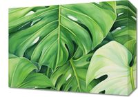 Obraz 40x30cm Tajemnice Liści