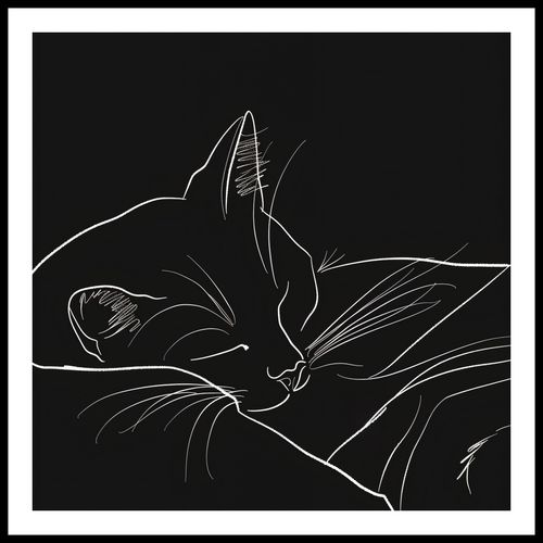 Plakat 60x60cm Nocny Spokój na Arena.pl