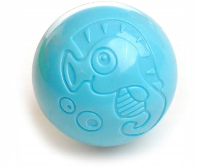 Edukacyjny Chodzik Pchacz zdjęcie 5