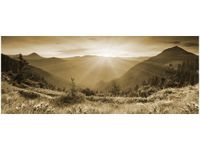 product-compare-58645122