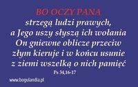 Magnes 33 na lodówkę BO OCZY PANA strzegą ludzi