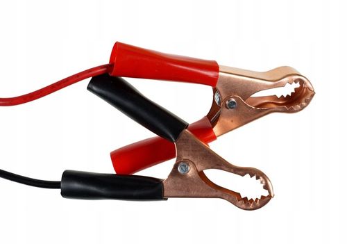 PROSTOWNIK 6V i 12V MIKROPROCESOROWY ŁADOWARKA DO AKUMULATORA NAPRAWA 15A na Arena.pl