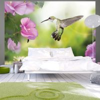 product-compare-63728024