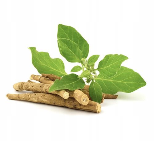 Encann Ashwagandha (Witania Ospała) silny polski ekstrakt w kroplach 50ml na Arena.pl