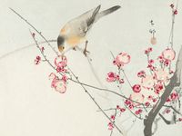 Plakat 40x30cm Songbird on Blossom Branch, Koson Vintage do Salonu