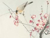 Plakat 40x30cm Songbird on Blossom Branch, Koson Vintage do Salonu