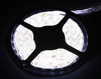 Taśma LED 2835 V 5m 300led IP65 6500K 12V 4,8W/mb
