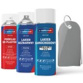 lakier samochodowy w sprayu zestaw do zderzaków mercedes 744 briliantsilber
