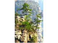 40X60CM WIDOK GÓRY OBRAZ