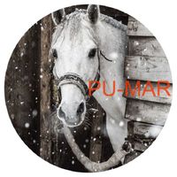 Opłatek na tort KONIE Koń Mustang Konik Kuc Urodziny Tekst Gratis